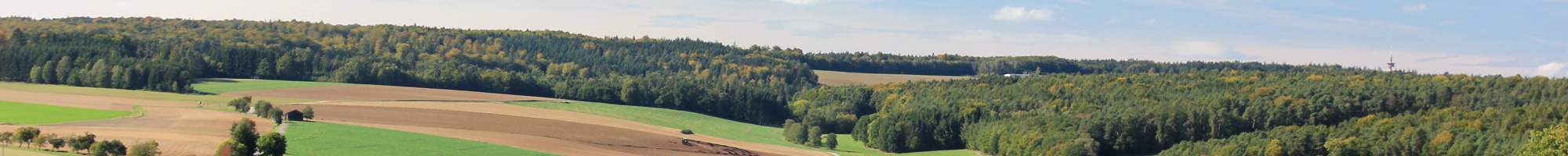 Reinhardsachsen