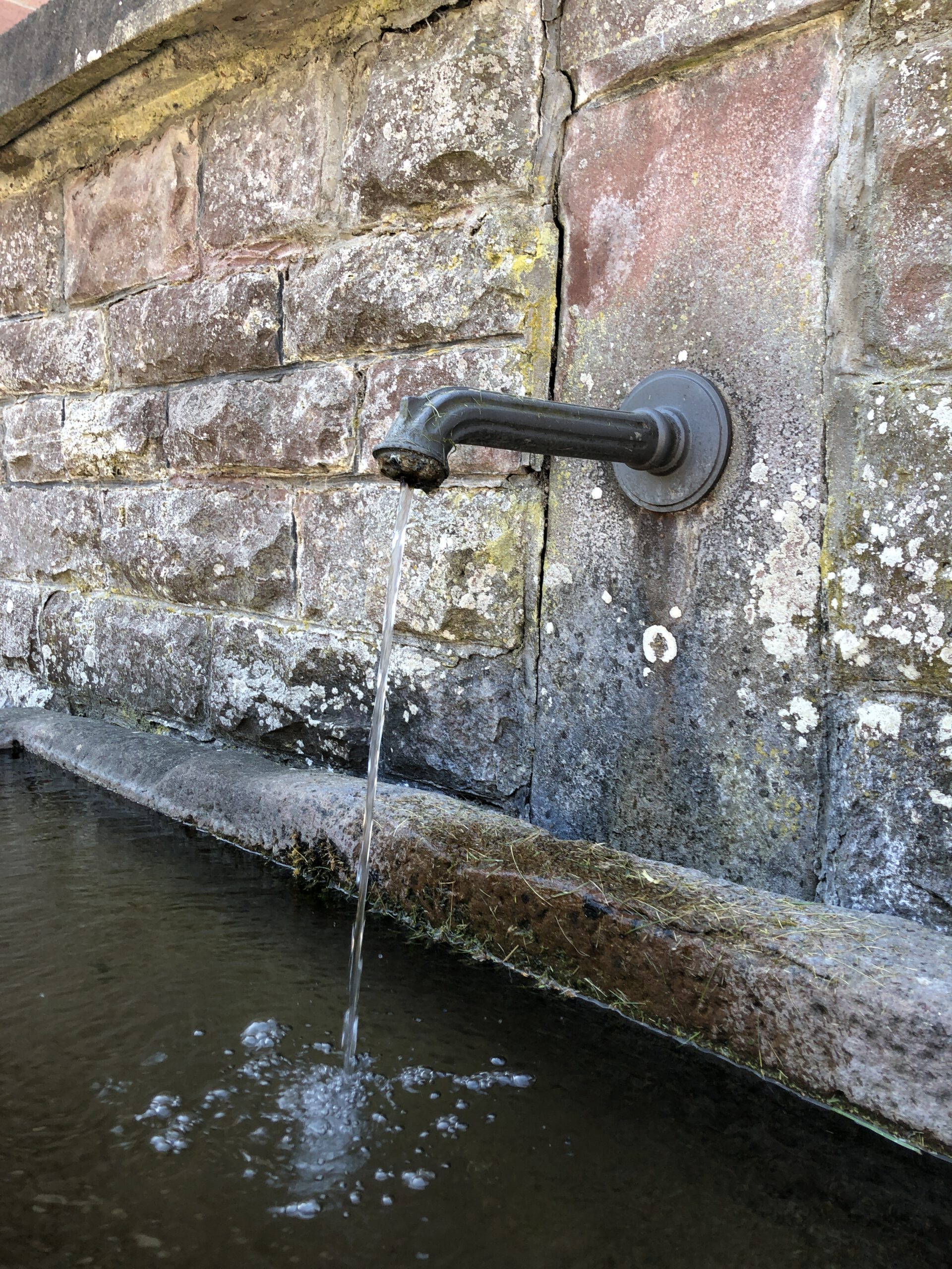 Der Frankenbrunnen fließt