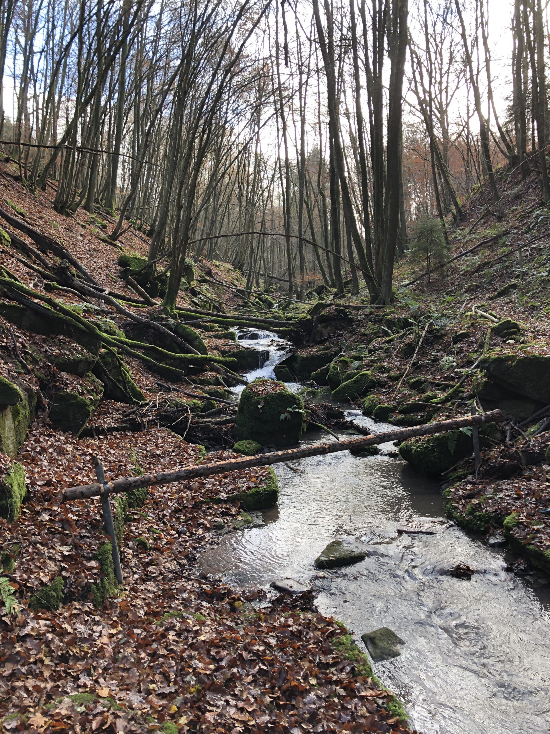 Bachübergang Kaltenbachschlucht